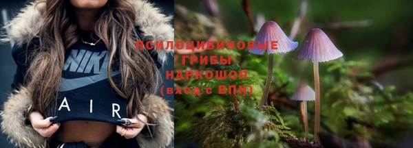 трава Приозерск