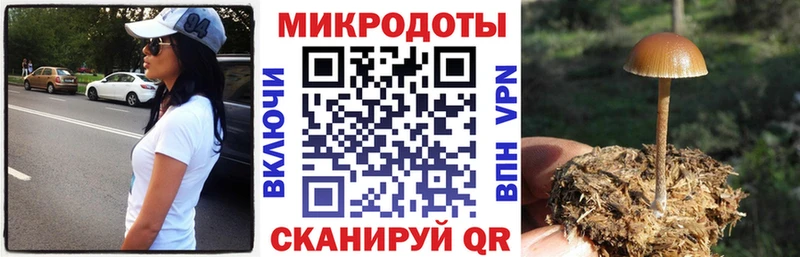 Галлюциногенные грибы MAGIC MUSHROOMS  Новая Ладога 